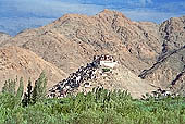  The picturesque Chemrey Gompa  in the valley leading to Changla - Ladakh